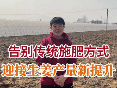 告别传统施肥方式 迎接生姜产量新提升 ()