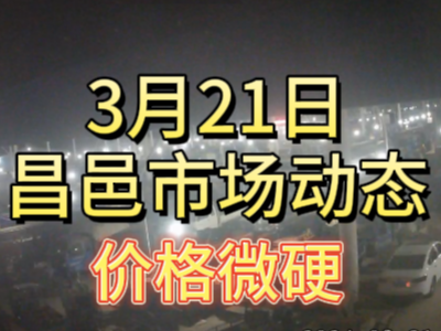3月21日 琨福市场大姜价格（价格微硬） ()