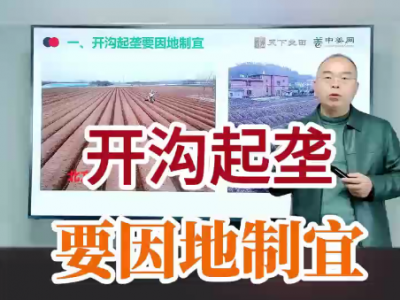 开沟起垄要因地制宜 ()