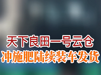 天下良田一号云仓冲施肥陆续装车发货 ()
