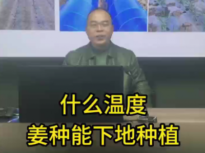 什么温度，姜种能下地种姜 ()