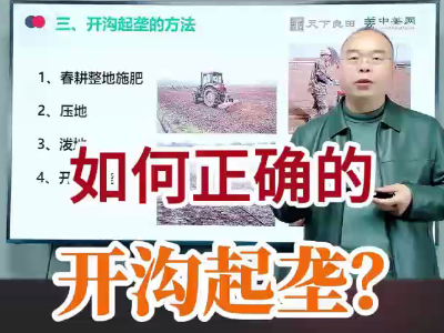 如何正确的开沟起垄？ ()