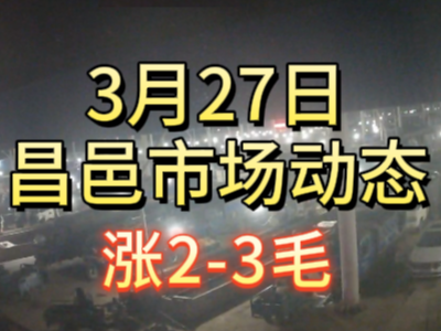 3月27日 琨福市场大姜价格（涨2-3毛） ()