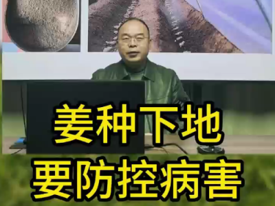 姜种下地要防控病害 ()