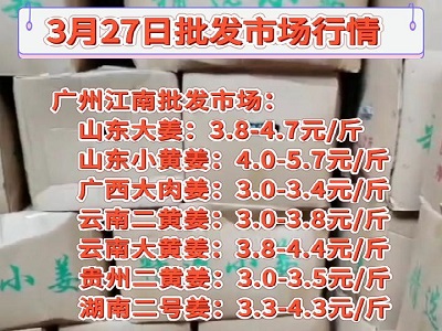 3月27日广州江南批发市场生姜价格行情 ()