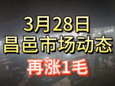 3月28日 琨福市场大姜价格（再涨1毛） ()