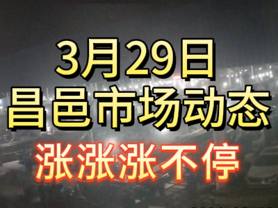 3月29日 琨福市场大姜价格（涨涨涨不停） ()