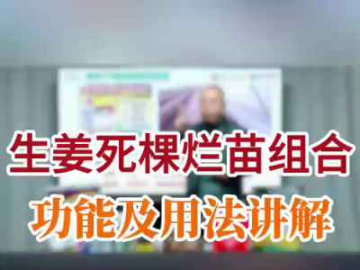 生姜死棵烂苗组合功能及用法讲解 ()