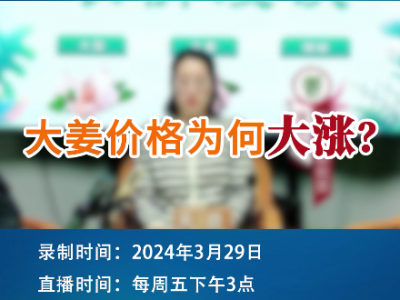 大姜价格为何大涨？ ()