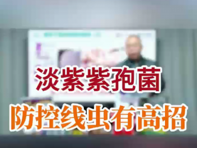 淡紫紫孢菌防控线虫有高招 ()