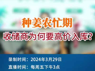种姜农忙期，收储商为何要高价入库？ ()