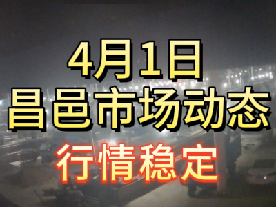 4月1日 琨福市场大姜价格（行情稳定） ()