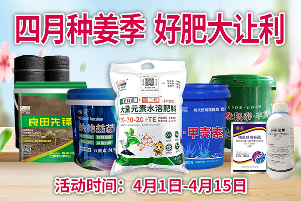 四月种姜季，好肥大让利 ()