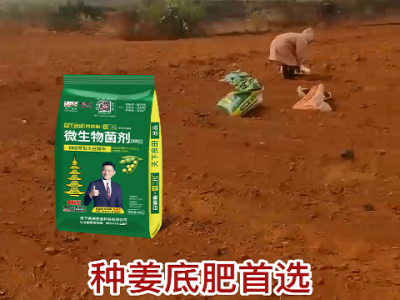 种姜首选底肥 ()