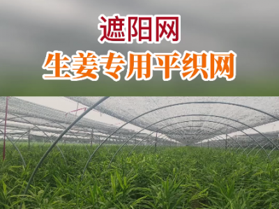 生姜专用遮阳网 ()