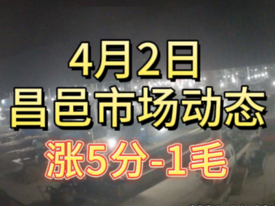 4月2日 琨福市场大姜价格（涨5分-1毛） ()