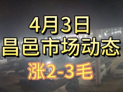 4月3日 琨福市场大姜价格（涨2-3毛） ()