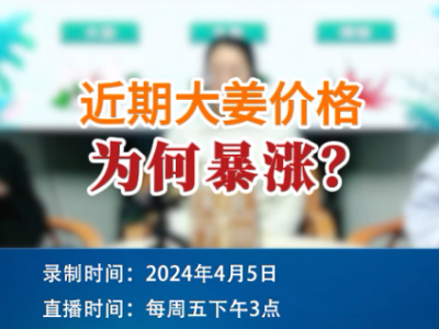 近期大姜价格为何暴涨？ ()