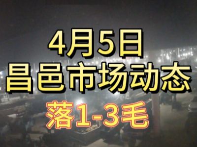 4月5日 琨福市场大姜价格（落1-3毛） ()