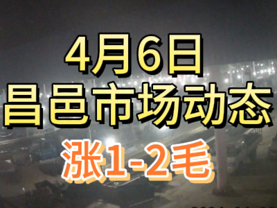 4月6日 琨福市场大姜价格（涨1-2毛） ()