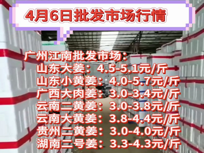 4月6日广州江南批发市场生姜价格行情 ()
