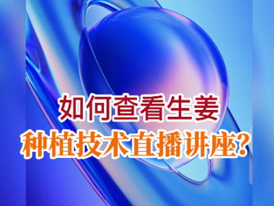 如何查看生姜种植技术直播讲座？ ()