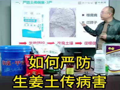 如何严防生姜土传病害 ()