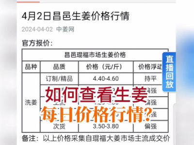 如何查看生姜每日价格行情？ ()