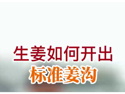 生姜如何开出标准姜沟 ()