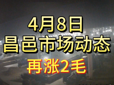 4月8日 琨福市场大姜价格（再涨2毛） ()