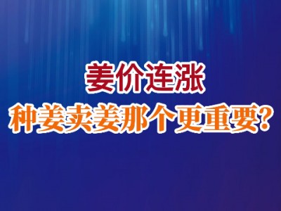姜价连涨 种姜卖姜哪个更重要？ ()