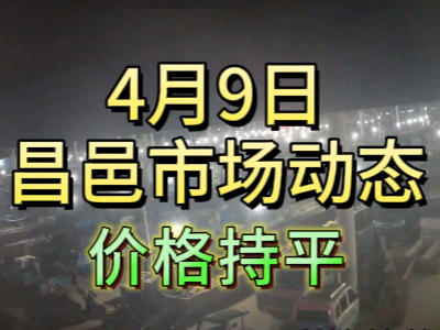4月9日 琨福市场大姜价格（价格持平） ()