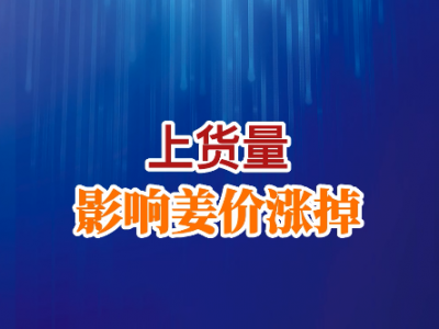 上货量影响姜价涨掉 ()