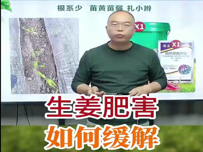 生姜肥害如何缓解？ ()