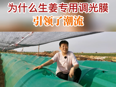为什么生姜专用调光膜引领了潮流？ ()