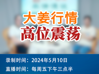 大姜行情高位震荡 ()