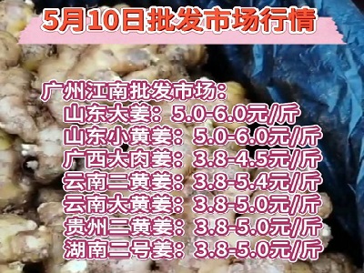 5月10日广州江南批发市场生姜价格行情 ()