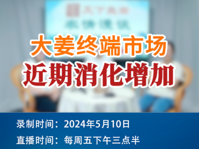 大姜终端市场近期消化增加 ()