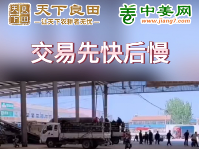 5月11日下午安丘黑埠子市场（下货先快后慢） ()