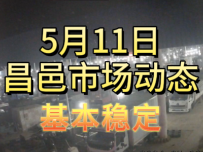 5月11日 琨福市场大姜价格（基本稳定） ()