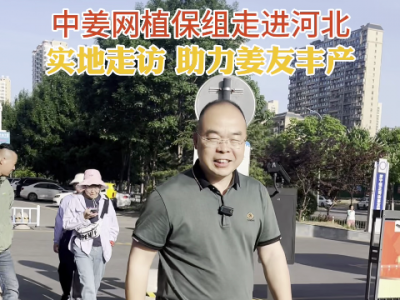 中姜网植保组走进河北--实地走访 助力姜友丰产 ()