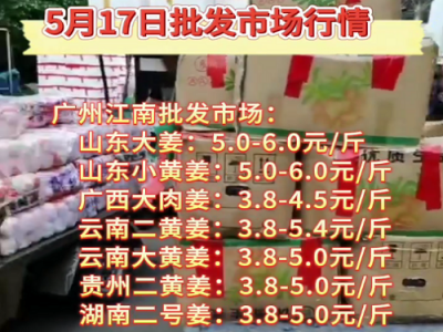 5月17日广州江南批发市场生姜价格行情 ()