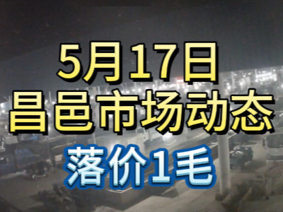 5月17日 琨福市场大姜价格（落价1毛） ()