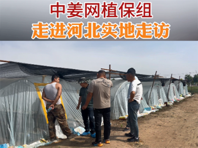 中姜网植保组走进河北实地指导！ ()