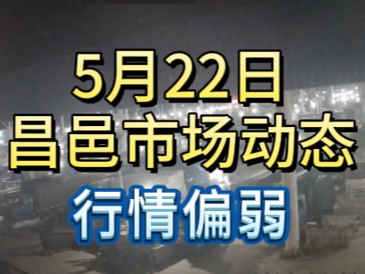 5月22日 琨福市场大姜价格（行情偏弱） ()