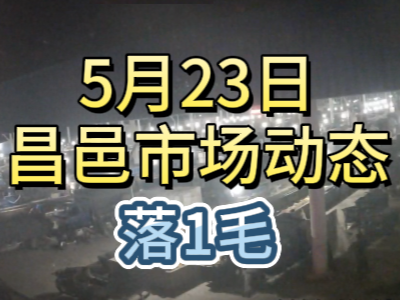 5月23日 琨福市场大姜价格（落1毛） ()