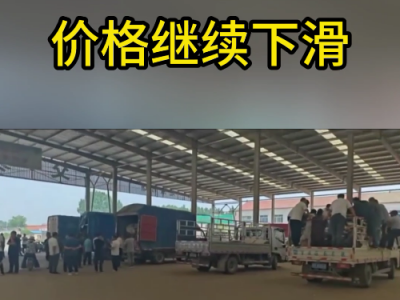 5月24日下午安丘黑埠子市场（继续下滑） ()