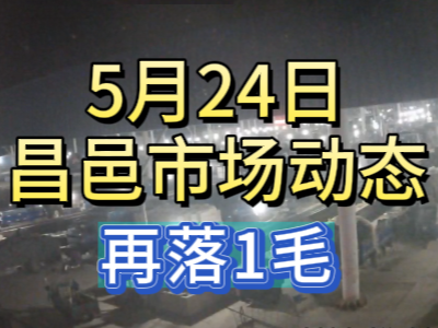 5月24日 琨福市场大姜价格（再落1毛） ()