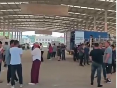 5月23日下午安丘黑埠子市场（下滑1毛） ()