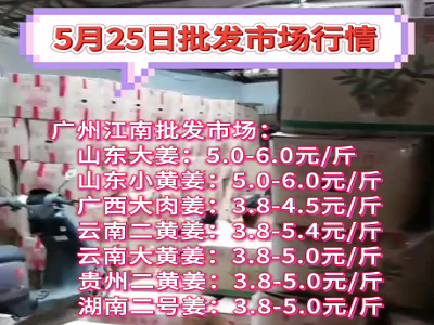 5月25日广州江南批发市场生姜价格行情 ()